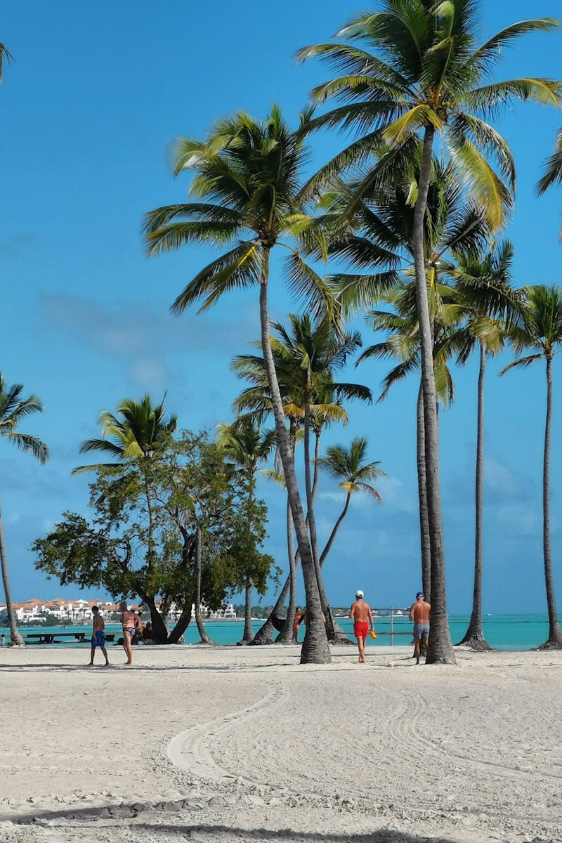 Serene tropical beach scene with palm trees, clear sky, and vibrant turquoise water.