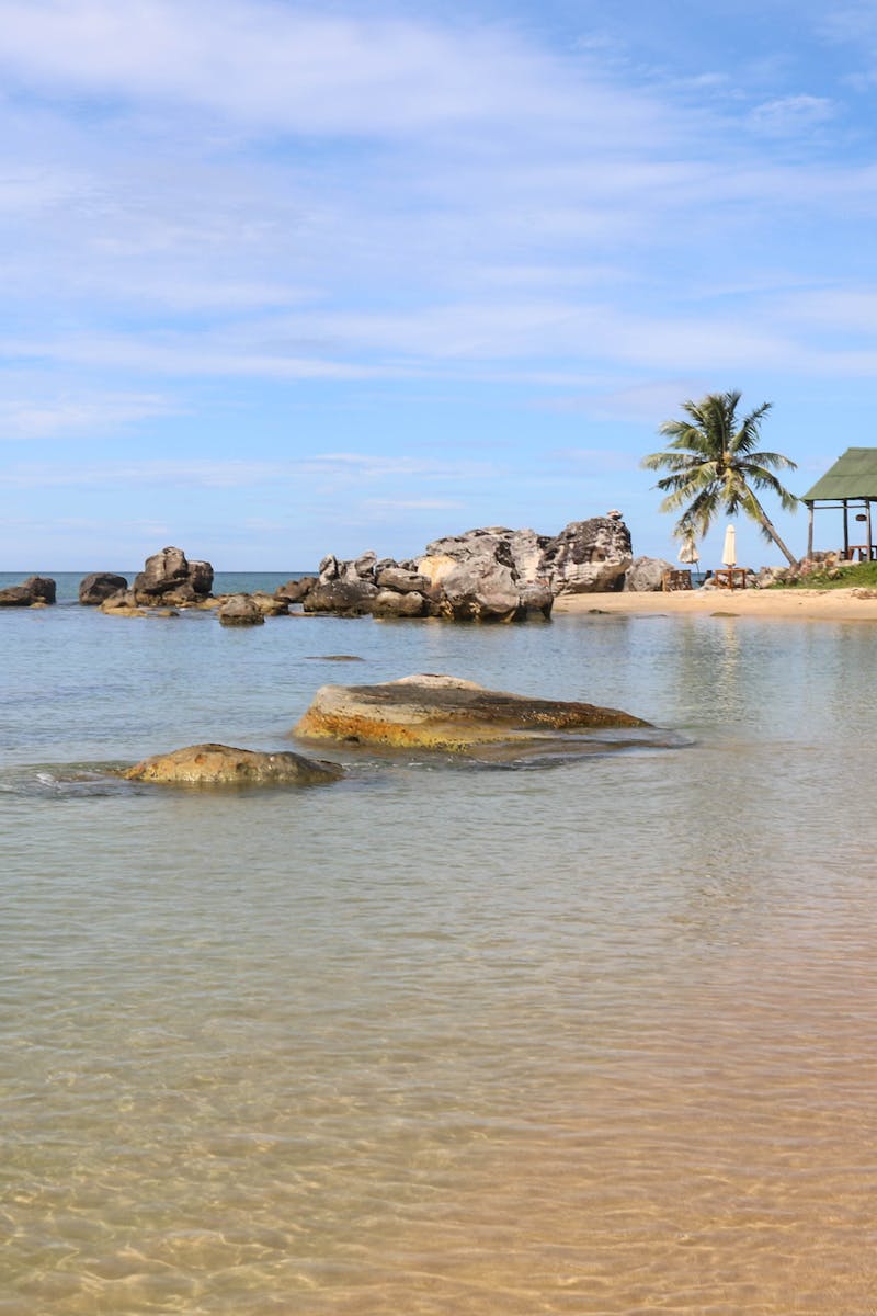 Serene beach landscape with palm trees, rocks, and clear water. Perfect tropical getaway setting.